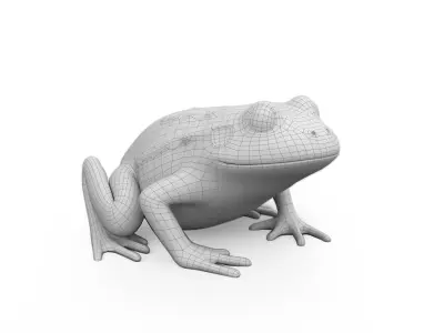 Litoria Tree Frog  Low-poly 3D model