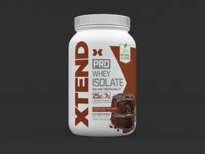 Protein Isolate Powder 3D model