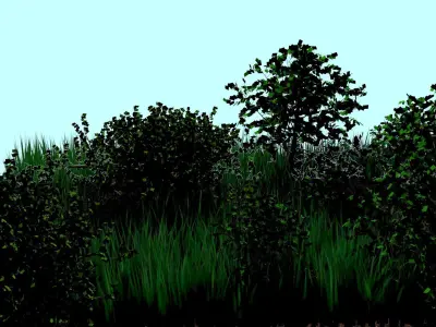 Forest 3D model