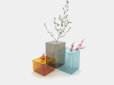 Coloured vases with plants 3D model
