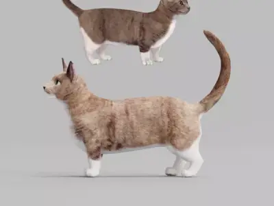 Munchkin Sausage Cat 3D model