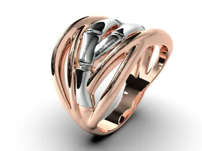 Bamboo ring 3D print model