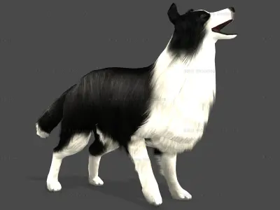 Sheep Dog Animated Low-poly 3D model