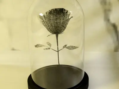 RED ROSE IN GLASS DOME Free 3D model