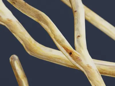 Wooden Stick - Single 3d Dry Low Poly and Game Ready Low-poly 3D model