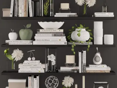Decoration set 3 bookshelves with plants and flowers 3D model