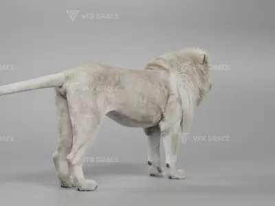 White Lion Animation - Blender 3D model