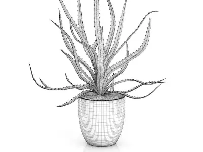 Aloe in White Pot 3D model