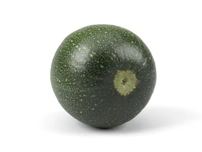 Photorealistic Round Zucchini 3D Scan 3D model