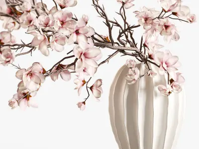 Magnolia Blossom Branches in White Ceramic Vase 3D model