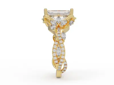 Ring Garden 3D print model