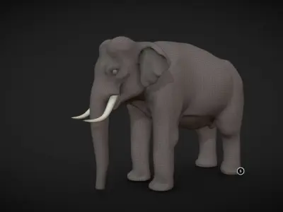 Asian Elephant male Base Mesh Low-poly 3D model