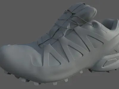 Salomon Speedcross 3 and FREE Livery 3D model