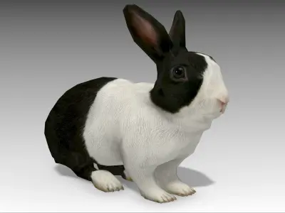 Rabbit bunny Low-poly 3D model