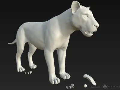 3D Lion Low-poly 3D model