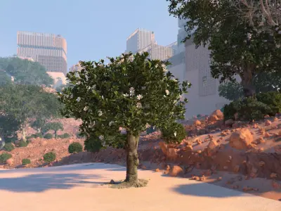 Ficus nitida decorative tree 3D model