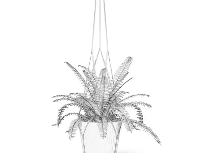 Fern 3D Model in Hanging Pot 3D model