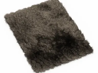 Carpet Fur Shaggi 01 3D model