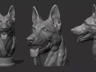 Belgian Shepherd Malinois bust 3D print model