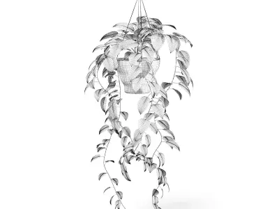 Hanging Plant 3D Model 3D model