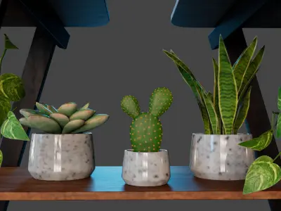 Trophy Shelf MAYA Low-poly 3D model