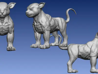 Arcaine  3D model