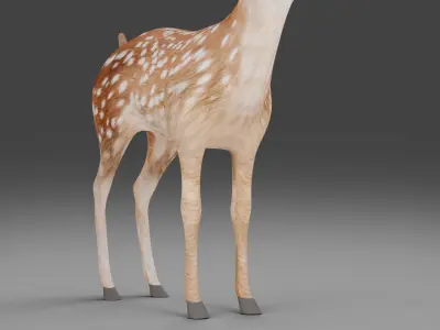 Fawn Deer NO Rigged V1 Low-poly 3D model