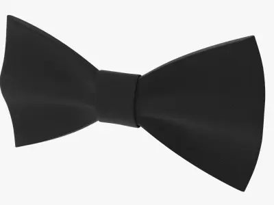 Bow tie 01 3D model