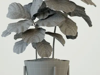 Plants collection 74 Modernica pots 3D model