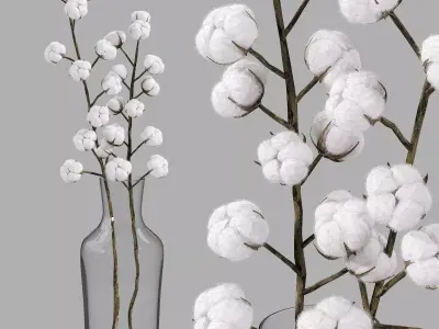  cotton bouquet   3D model