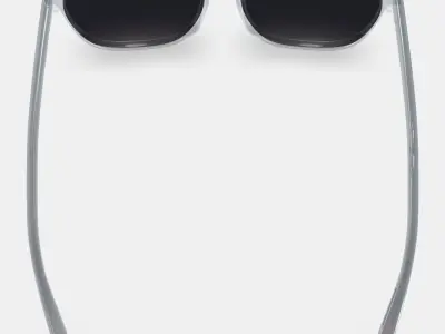 Esme Sunglasses in Crystal 3D model