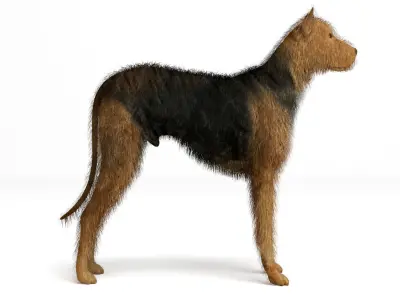 Street Dog 3D model