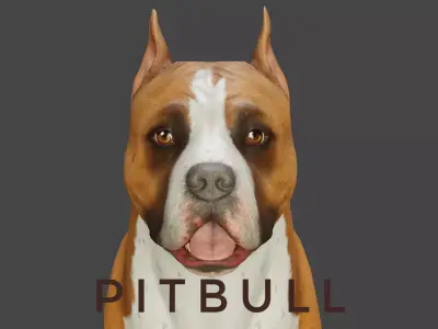 DOG - PITBULL Low-poly 3D model