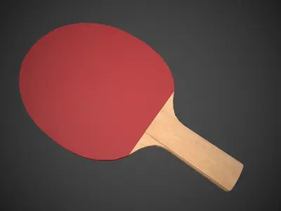 Table Tennis Set Low-poly 3D model