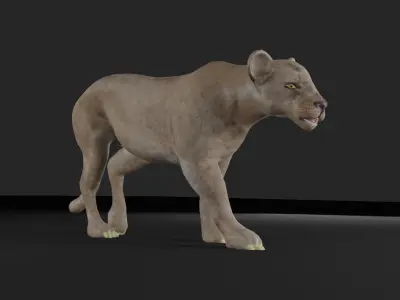LIONESS ANIMATED Low-poly 3D model