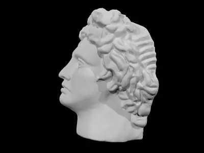 The Head of David 3D print model