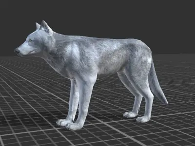 WOLF FAMILY short Low-poly 3D model