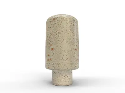 CERE SWHITE VASE 3D model