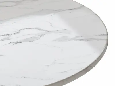 Tulip Marble 80 White Black Low-poly 3D model