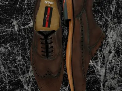 LLOYD CLASSIC 3D SHOES - BROWN 3D model