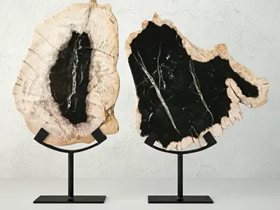 Petrified Wood Slices On Stand 3D model