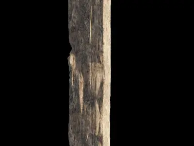 wooden plank Free 3D model