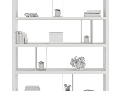 Flexform Bookshelf Braidense 3D model