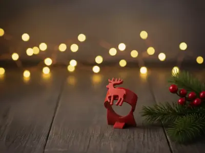 Christmas Napkin Holder 3D print model purchase