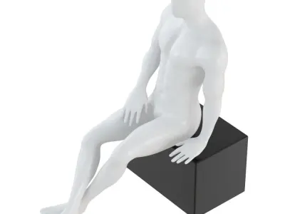 Mannequin sits on box 138 3D model
