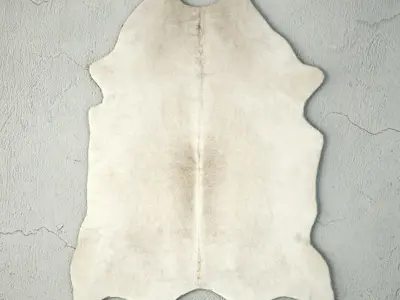 Rugs by ZARA HOME 3 3D model