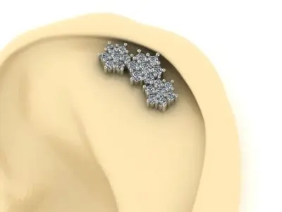 Ear decoration N01604 3D print model