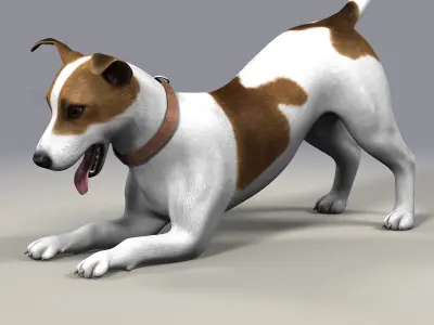 Dog  Jack Russell Terrier  Fur Low-poly 3D model