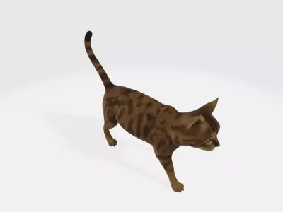 Cat High poly 3D model