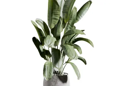 indoor plant 514 3D model
